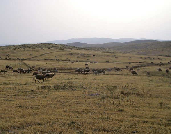 nr 05 _ marokko, westsahara und retour