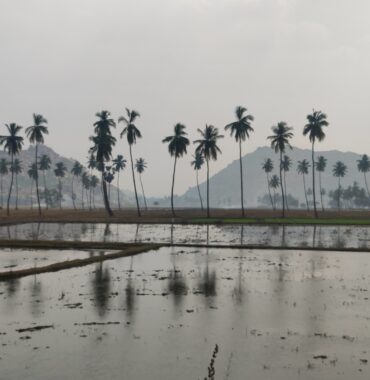 Nr 74 _ India _ Telangana, to Hampi Karnathaka, Andhra Pradesh to Tamil nado  Chennai