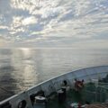 Nr 98 _ Back home from Orkney