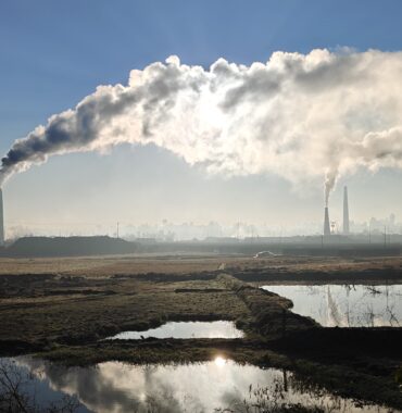 Nr 100 _ hello Bangla desh