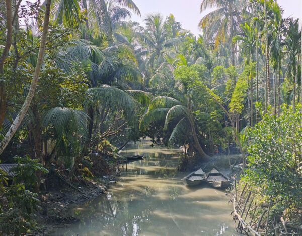 Nr 100 _ the exotic Bangla desh