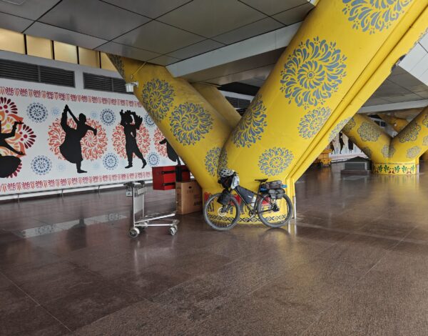 Nr 101 _ in the land of the sacred cows