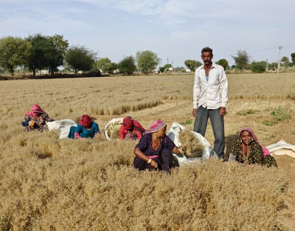 NR 104 _ Conclusion five month Indian subcontinent