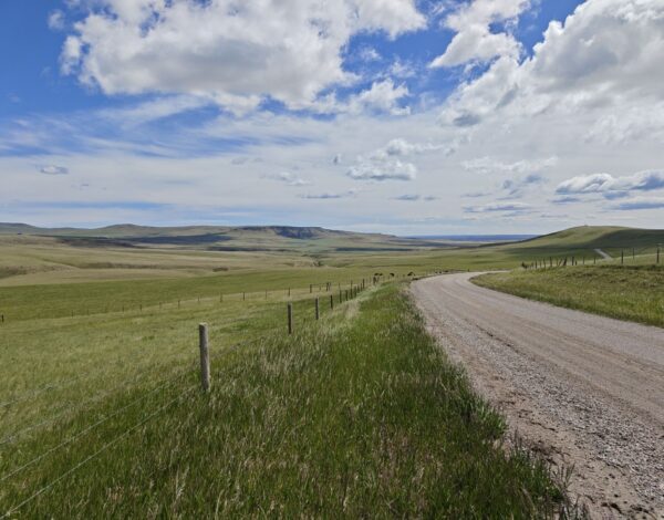 nr 106 _ the endless expanse – Prärie and Cowboy