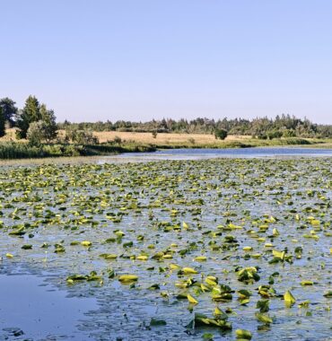 nr 108 _ the endless expanse – Central canada