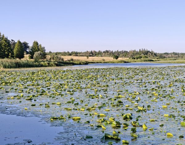 nr 108 _ the endless expanse – Central canada