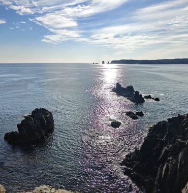 Nr 109 _ the endless Expanse – the east – Atlantic area