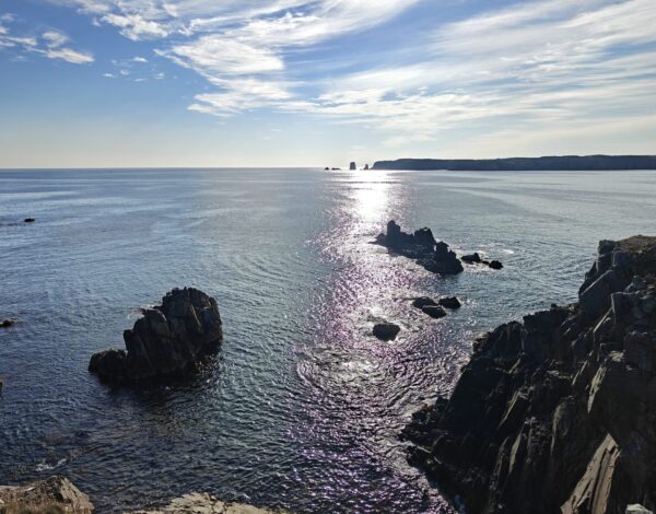 Nr 109 _ the endless Expanse – the east – Atlantic area